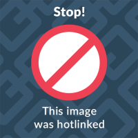 Uncategorized